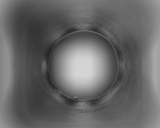 X0000113370117200909151408