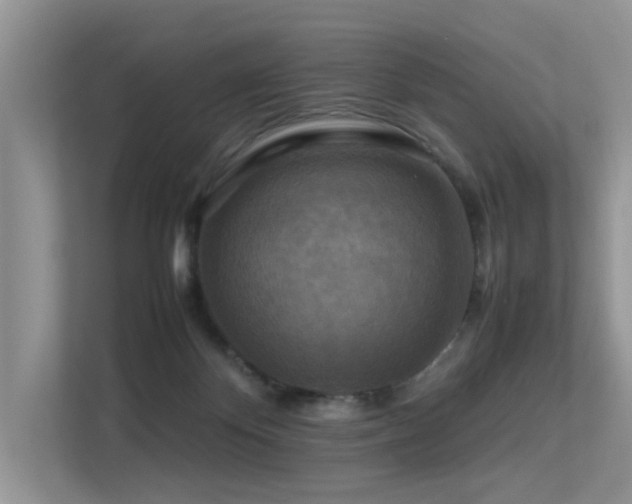 X0000113370124200909151408