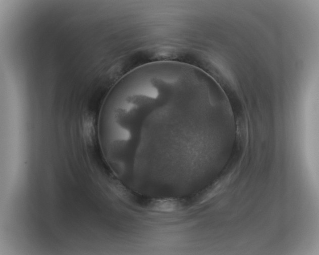 X0000113370127200909151408