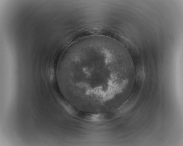 X0000113370130200909151407