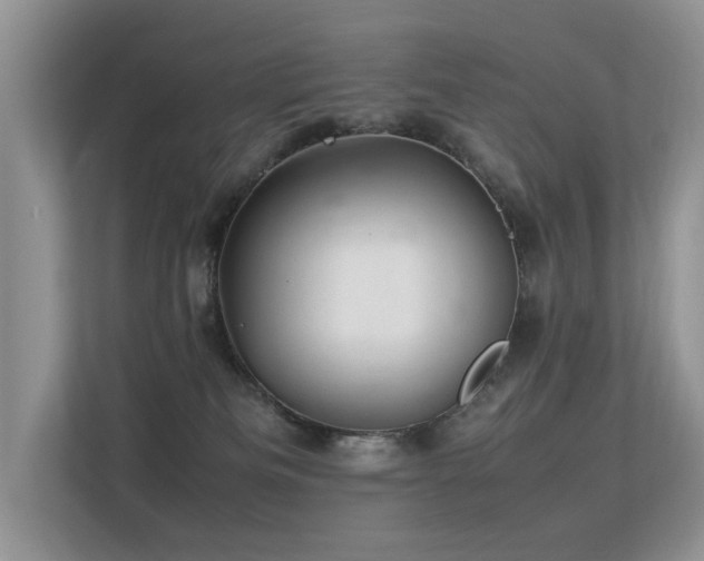 X0000113370133200909151407