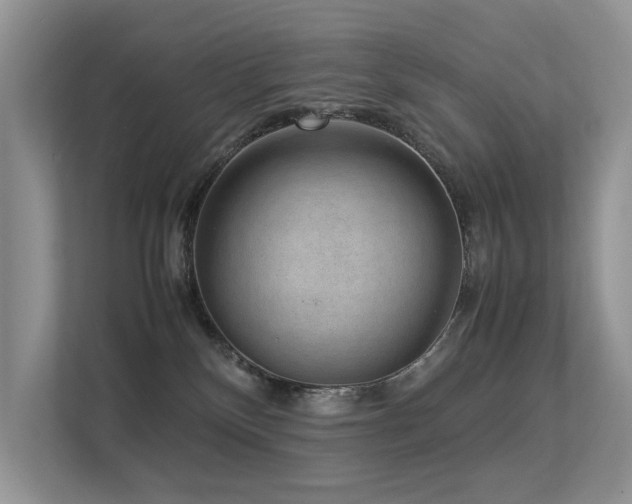 X0000113370136200909151407