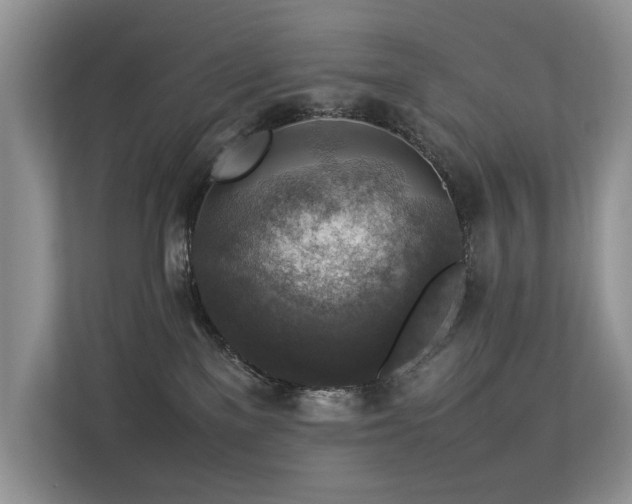 X0000113370137200909151407