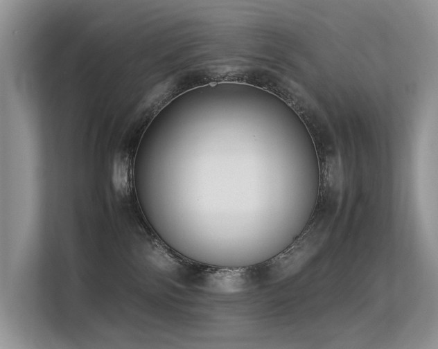 X0000113370138200909151407