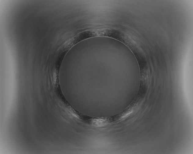X0000113370139200909151407