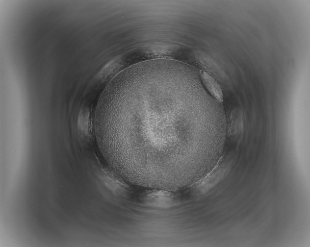 X0000113370140200909151407