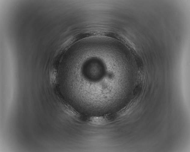 X0000113370141200909151407