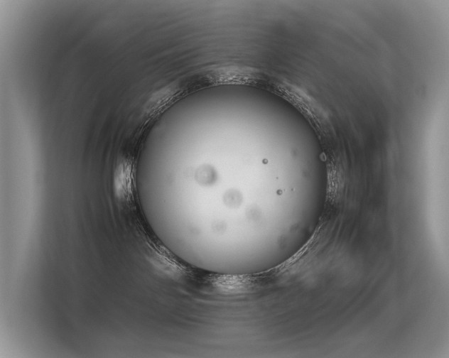 X0000113370142200909151407