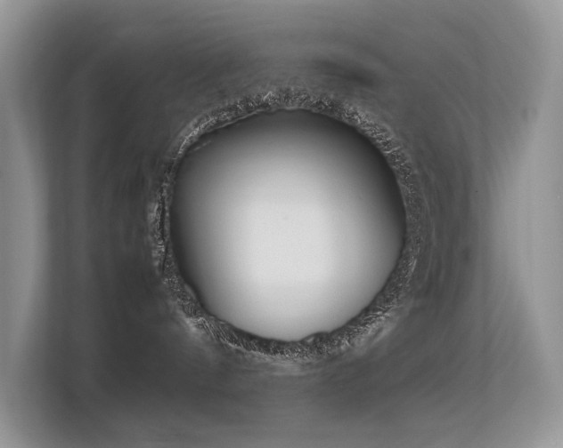 X0000113370144200909151407