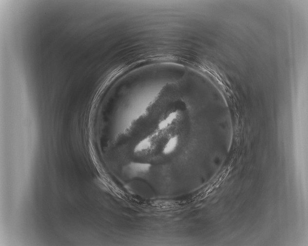 X0000113370145200909151407