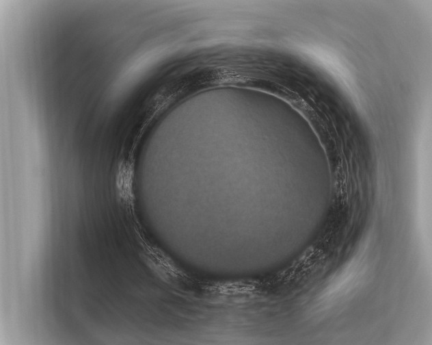 X0000113370146200909151407