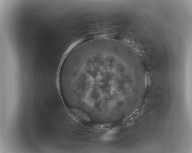 X0000113370147200909151407