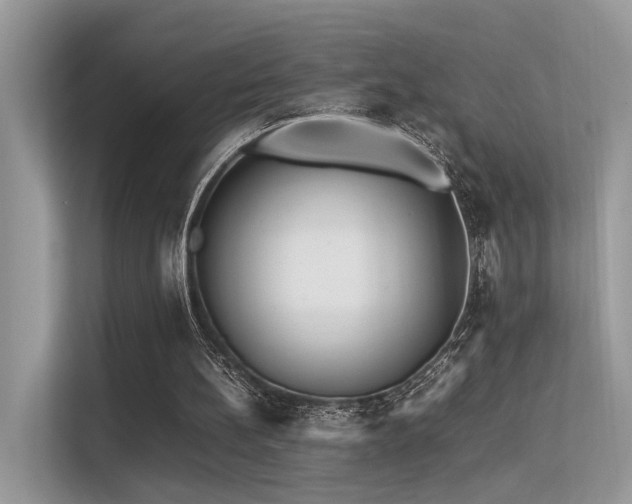 X0000113370148200909151407