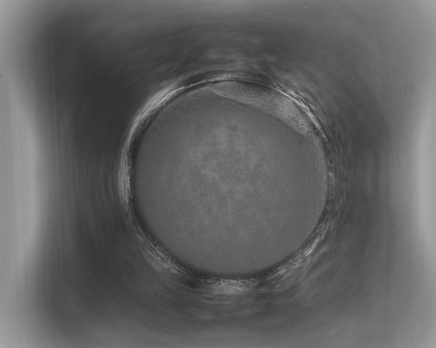 X0000113370149200909151407