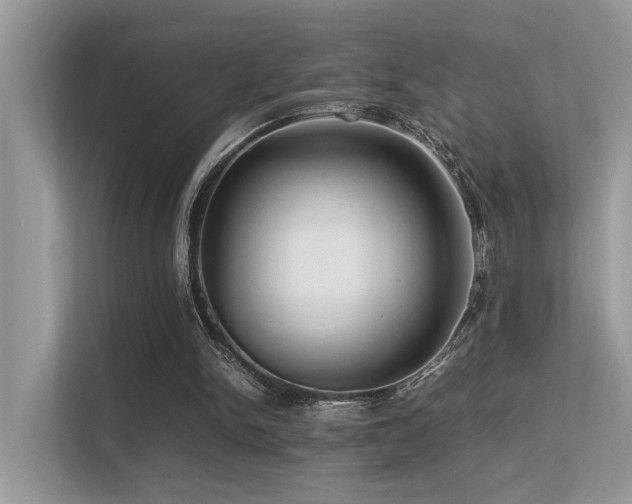 X0000113370150200909151407