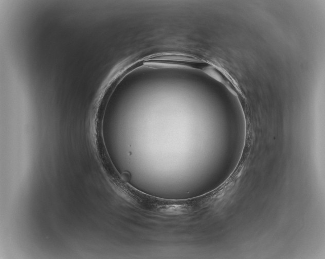 X0000113370151200909151407