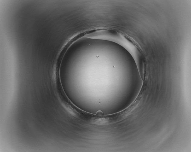 X0000113370156200909151407