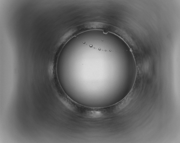 X0000113370159200909151407
