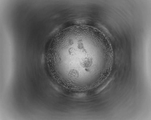 X0000113370161200909151407