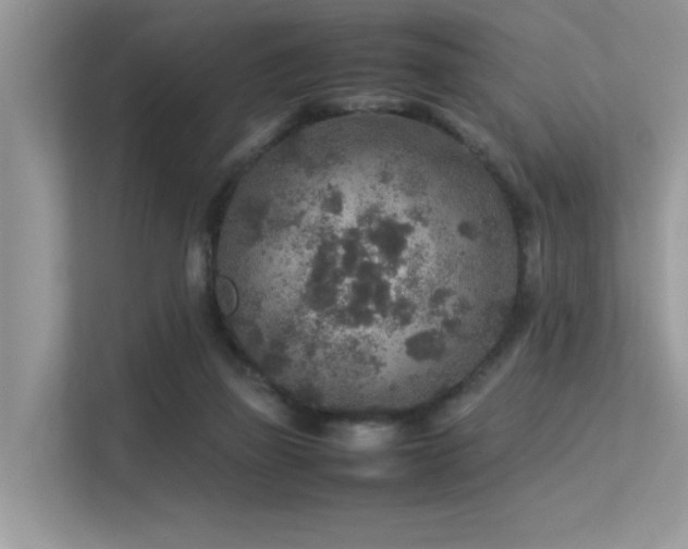 X0000113370165200909151407