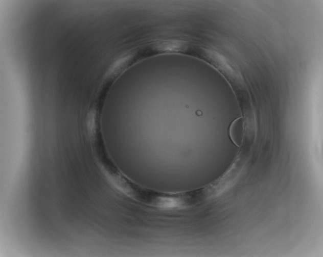 X0000113370167200909151407