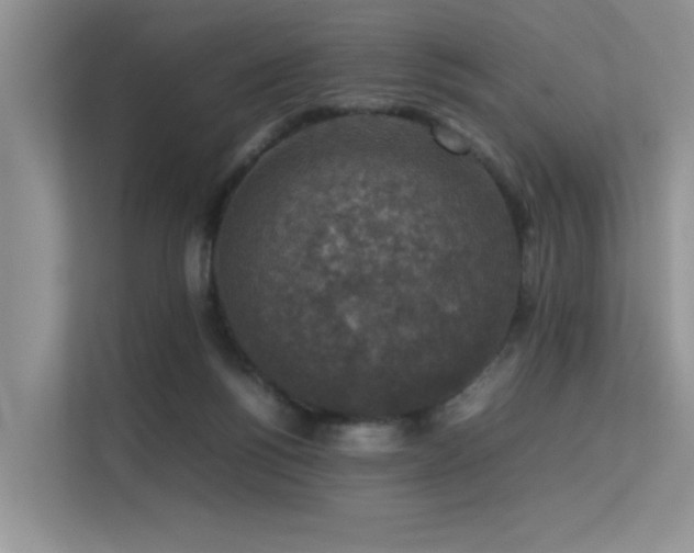 X0000113370168200909151407