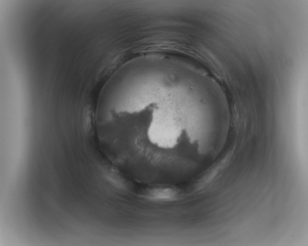 X0000113370169200909151407