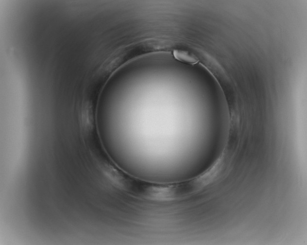 X0000113370170200909151407