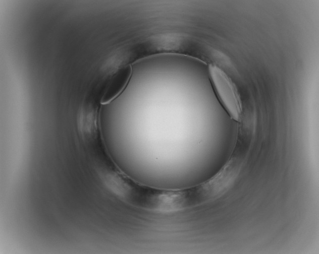 X0000113370172200909151407