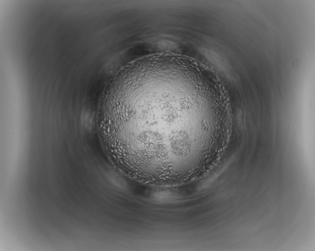 X0000113370177200909151407