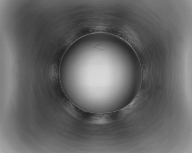 X0000113370179200909151407