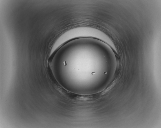 X0000113370180200909151407