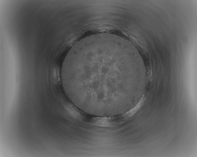 X0000113370182200909151407