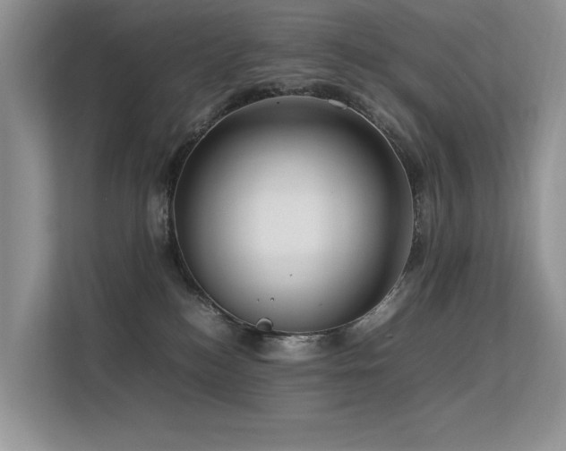 X0000113370184200909151407