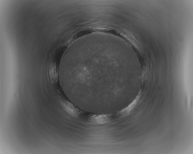 X0000113370186200909151407