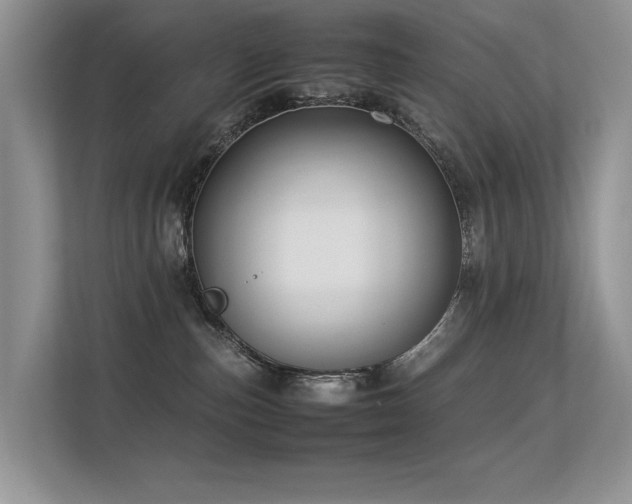 X0000113370187200909151407