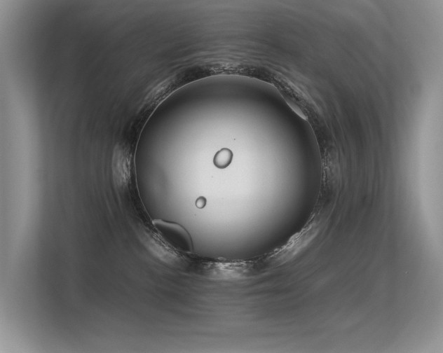 X0000113370188200909151407