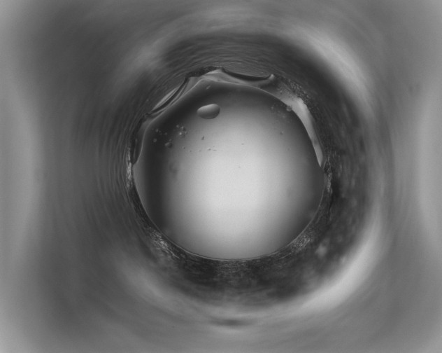 X0000113370190200909151407