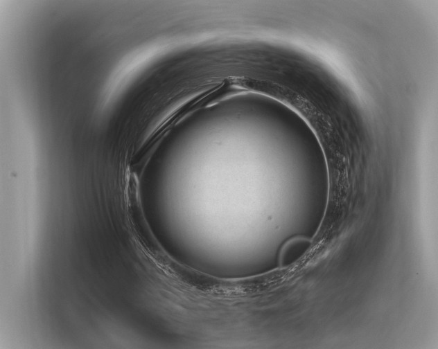X0000113370194200909151407