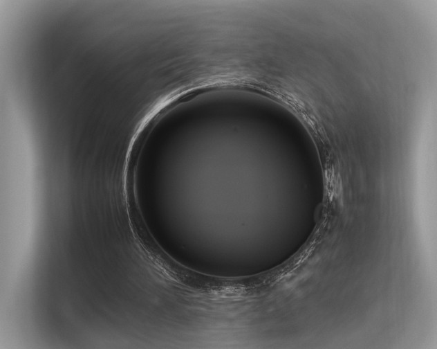 X0000113370196200909151407