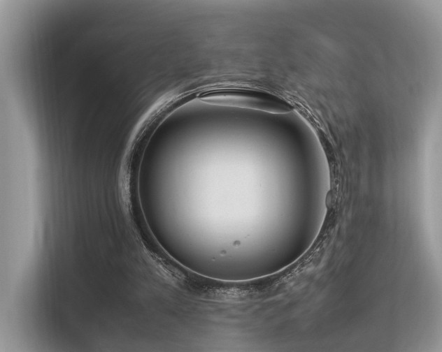 X0000113370197200909151407