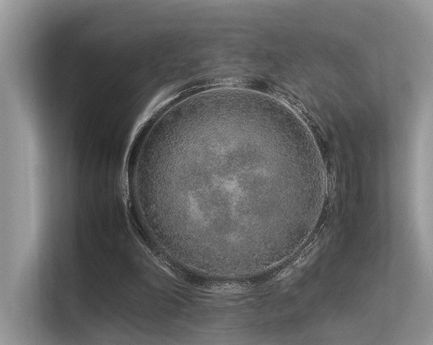 X0000113370198200909151407