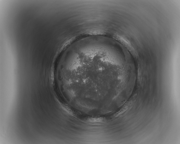 X0000113370202200909151407