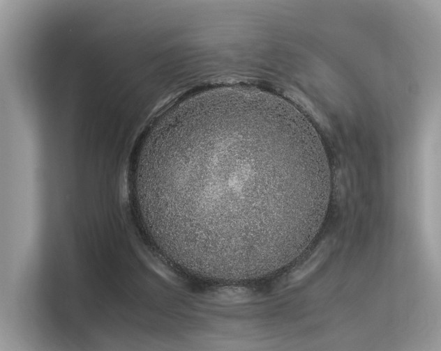 X0000113370203200909151407