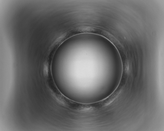 X0000113370206200909151407