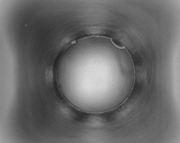 X0000113370207200909151406