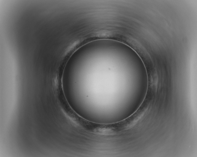 X0000113370208200909151406