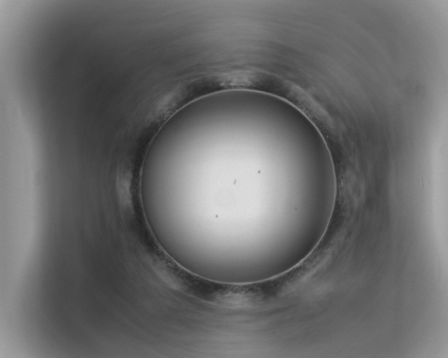 X0000113370209200909151406