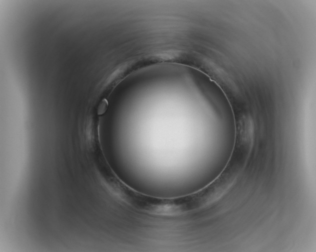 X0000113370212200909151406