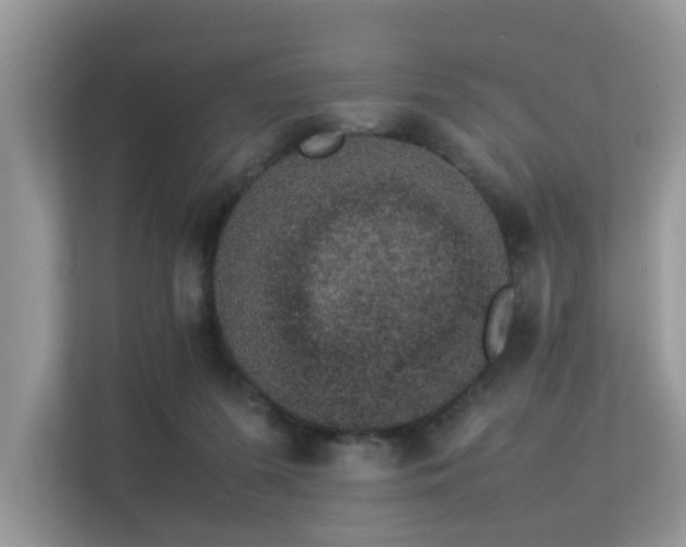 X0000113370215200909151406